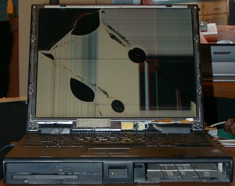 Elssbett with broken LCD